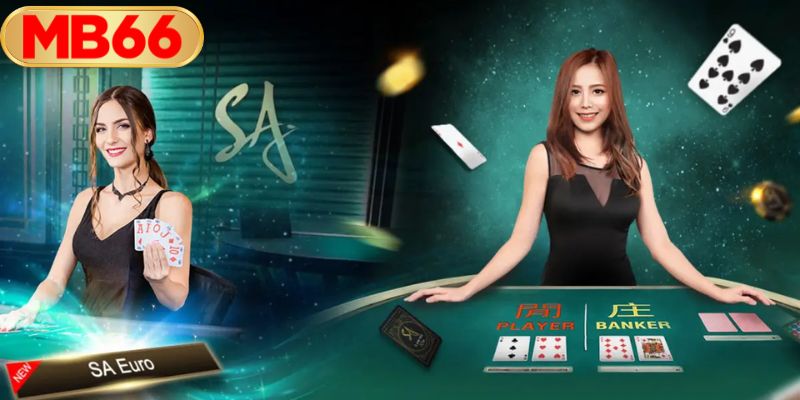 ฮอลล์ SA MB66 ที่สุดของคาสิโนสด เล่นง่าย ได้เงินจริง